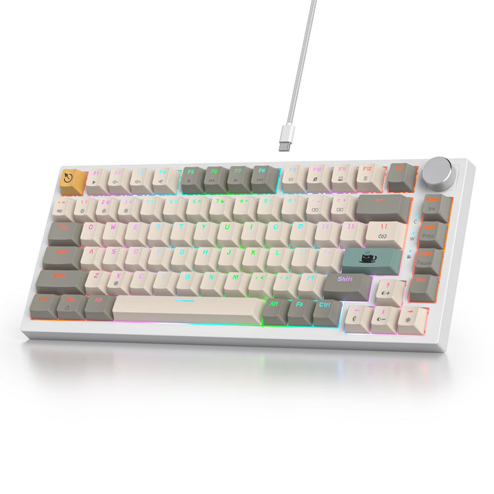 SOLIDEE Verkabelte Mechanische Gaming Tastatur 75 Prozent,hot-swap-fähige Mechanische Tastatur mit G