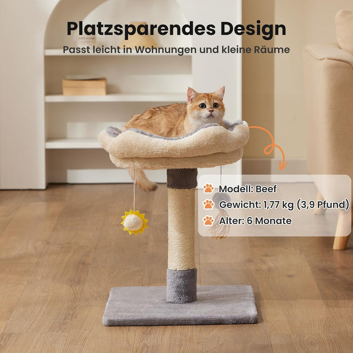 Gardner Pet Kleiner Katzenbaum, Kratzbaum klein mit 34 x 30 cm gepolsterter Plattform, 51 cm hoch Ka