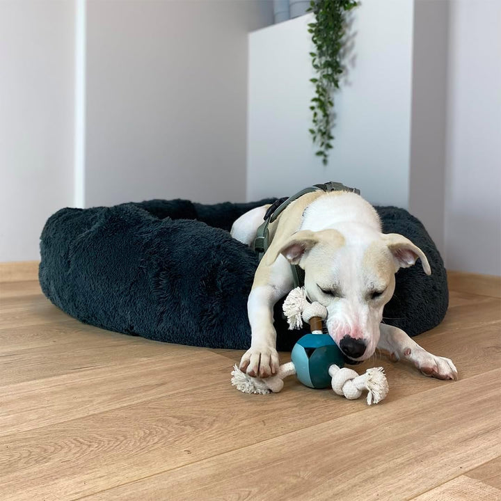 D&amp;D Home, Levi Rosewood Hundespielzeug, 22 x 8 x 22 cm, Blau, Kombination aus Gummi und Schnur aus B
