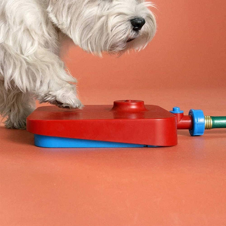 Unbekannt Trinkbrunnen für Hunde Max & Mitzy | Hundewasserspender | Wasserspender für kleine Hunde &