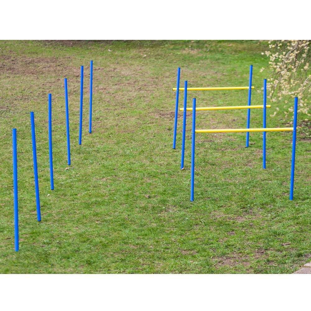 Procyon Dog Agility Trainings-Set 2 für Anfänger