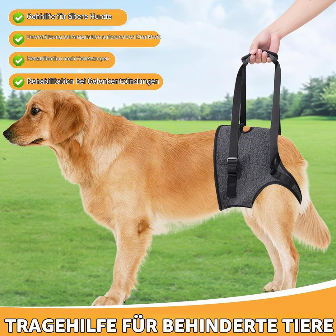 Tragehilfe Hund -Tragbares Hundegeschirr für die Hinterbeine,Verstellbares Hunde Aufzugsgeschirr, Hu