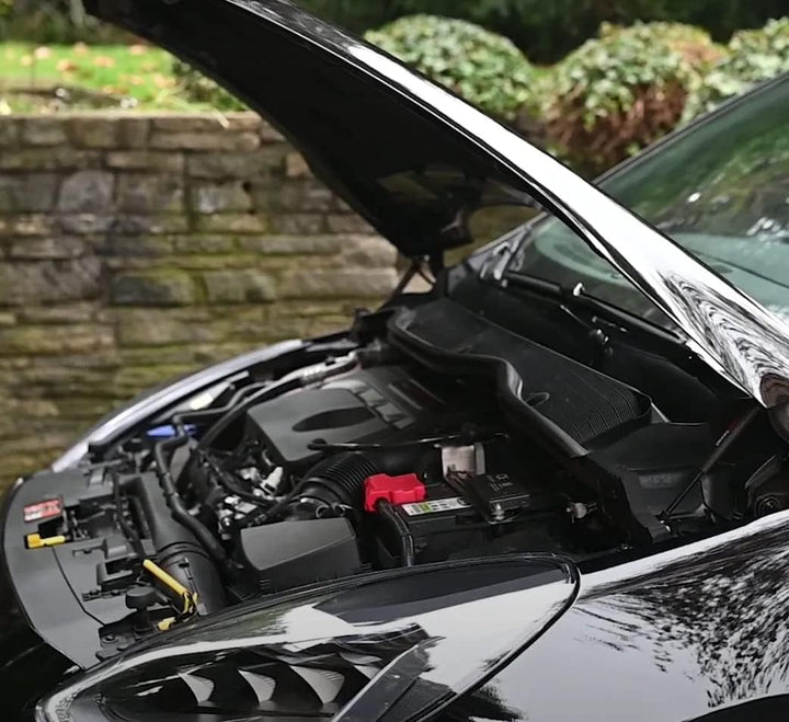 JINGLING Motorhaubenstreben für Fiesta MK8 2017–2023 Motorhauben-Gasdämpfer-Hebestützen ändern kein