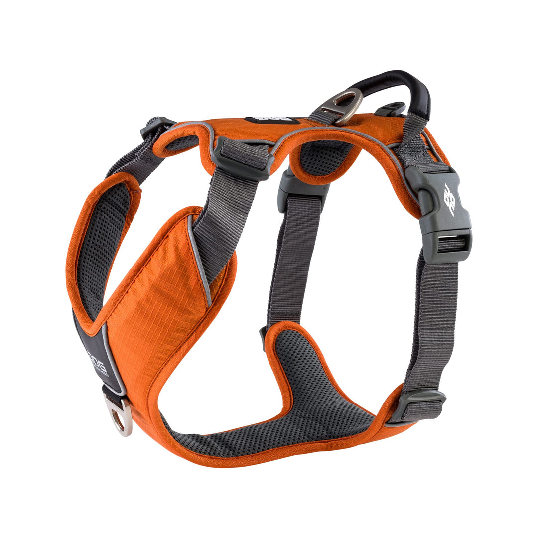 DOG Copenhagen Hundegeschirr V2 Comfort Walk (Pro) Orange Sun Grösse XL Orange Sun | Orange (Version