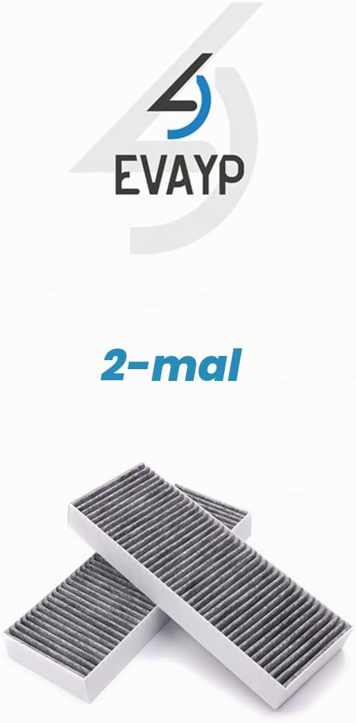 EVAYP / 2x Aktivkohlefilter / Ersatz für BORA BAKFS / Kompatibel für BORA Basic Dunstabzugshaube GP4