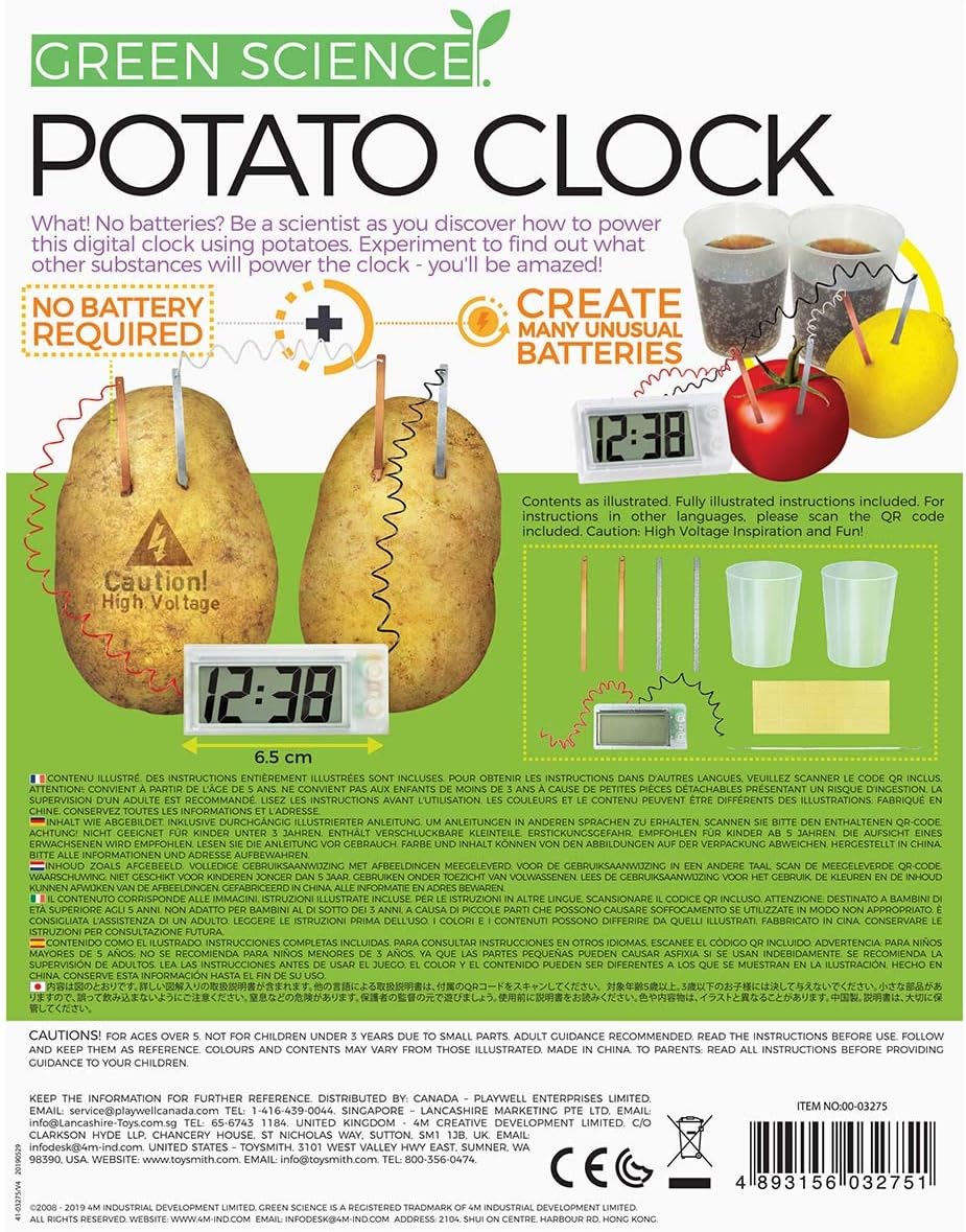 4M Green Science Potato Clock, Potato Clock