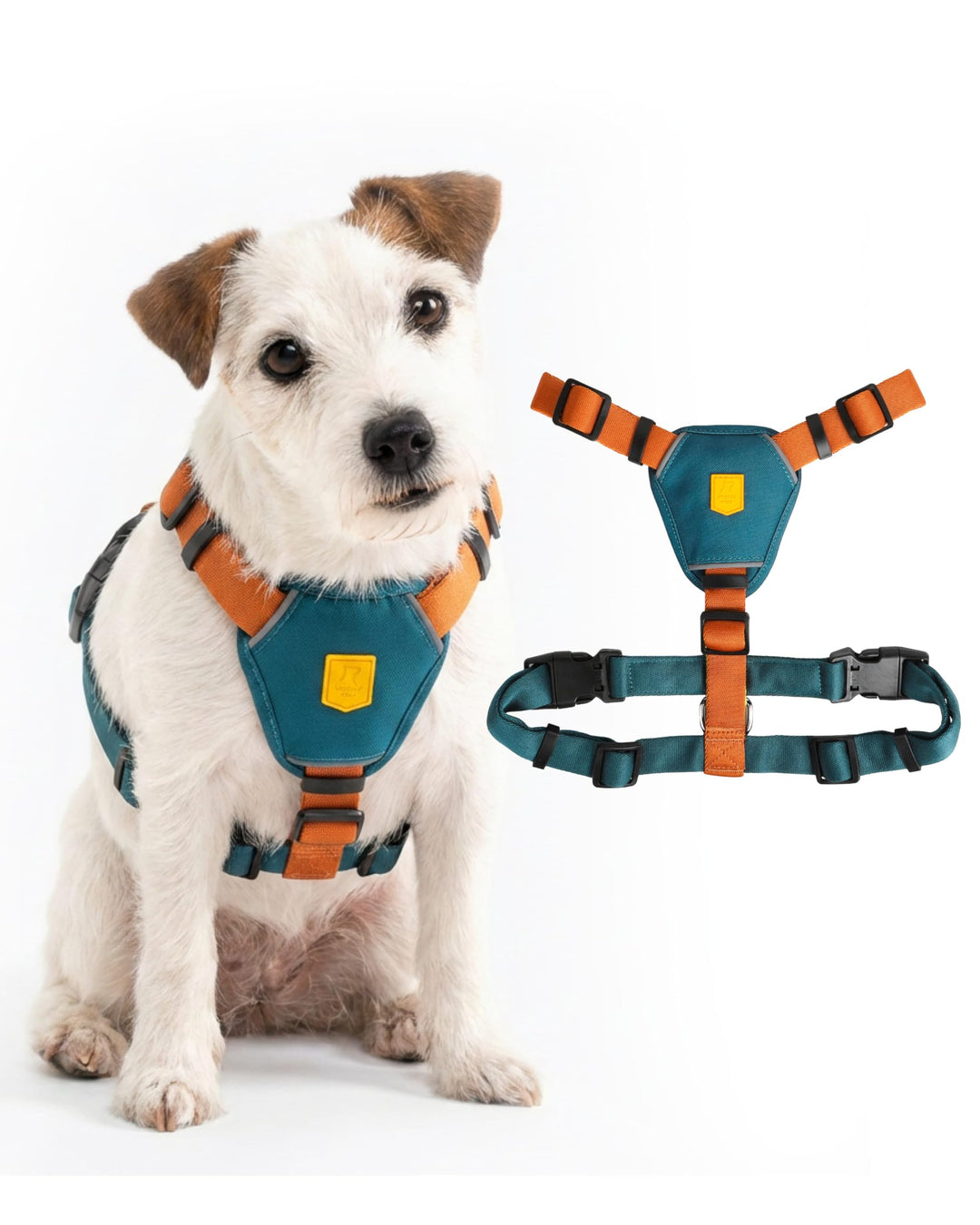 Woolly Wolf Color Block Hundegeschirr für kleine Hunde & Welpen XXS – Geschirr mit 5-Punkt-Anpassuns