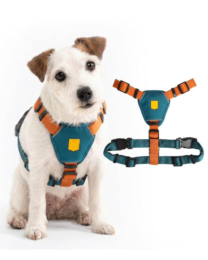 Woolly Wolf Color Block Hundegeschirr für kleine Hunde & Welpen XXS – Geschirr mit 5-Punkt-Anpassuns