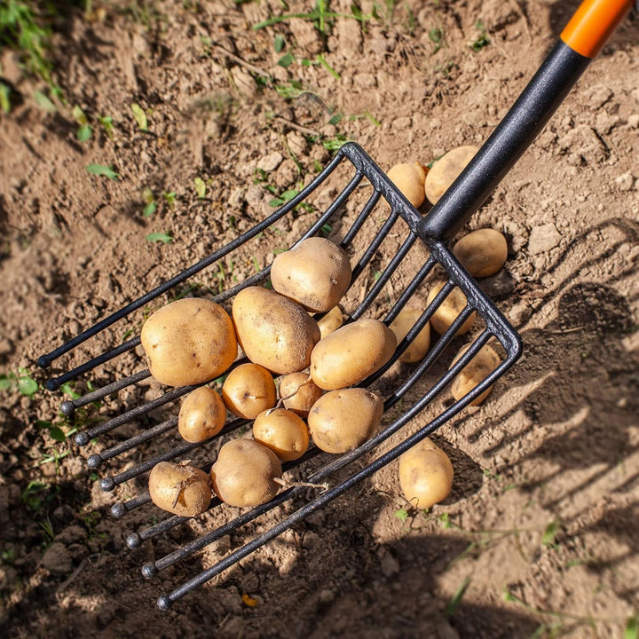 KADAX Kartoffelgabel mit langem Stiel, Steingabel aus robustem Stahl, Forke mit D-Griff, Spatengabel