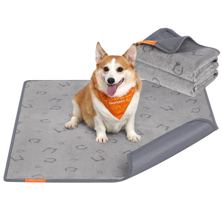Feandrea Hundedecke, 2er Set, Wiederverwendbare Hundematte, 122 x 91 cm, XL, wasserdicht, auslaufsic