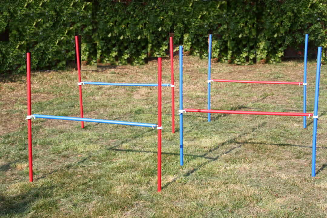 4 X Agility - ÜBUNGS - HÜRDEN - Set IN BLAU/ROT