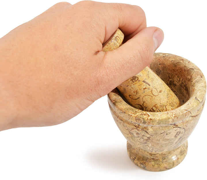 Mini Stössel und Mörser Fossiler Stein