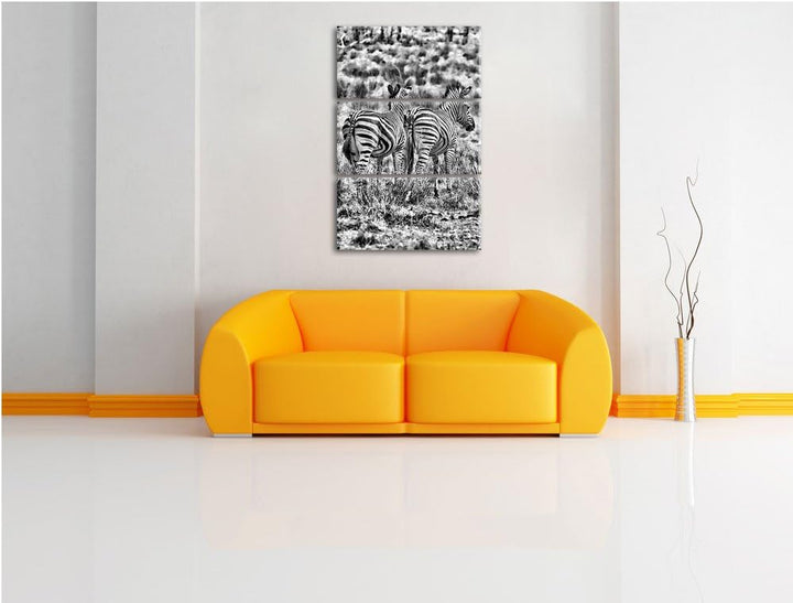 Pixxprint Zebraherde in Savanne / 3-Teilig/Gesamtmass 120cm Leinwandbild bespannt auf Holzrahmen/Wan