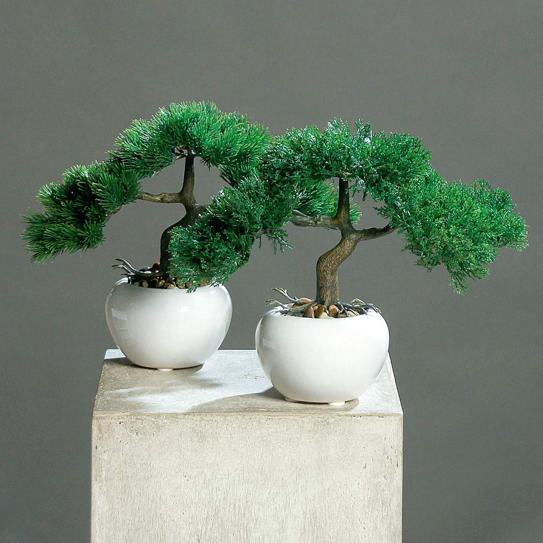 mucplants Künstliches 2er Bonsai-Set Zeder und Kiefer ca. 25cm im weissen Keramiktopf Kunstpflanzen