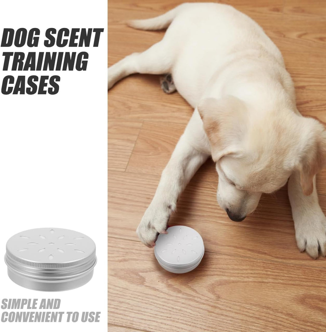 Angoily 10 Stück geruchsdosen für Hunde schnüffeldosen Hundeduft-Trainingsbox Training Hundeduft Nas