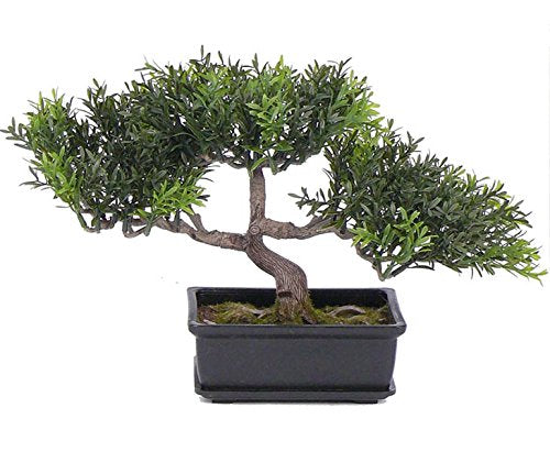 kunstpflanzen-discount.com Künstlicher Teeblat Bonsai 23cm in dekorativer Schale mit 98 naturgetreue