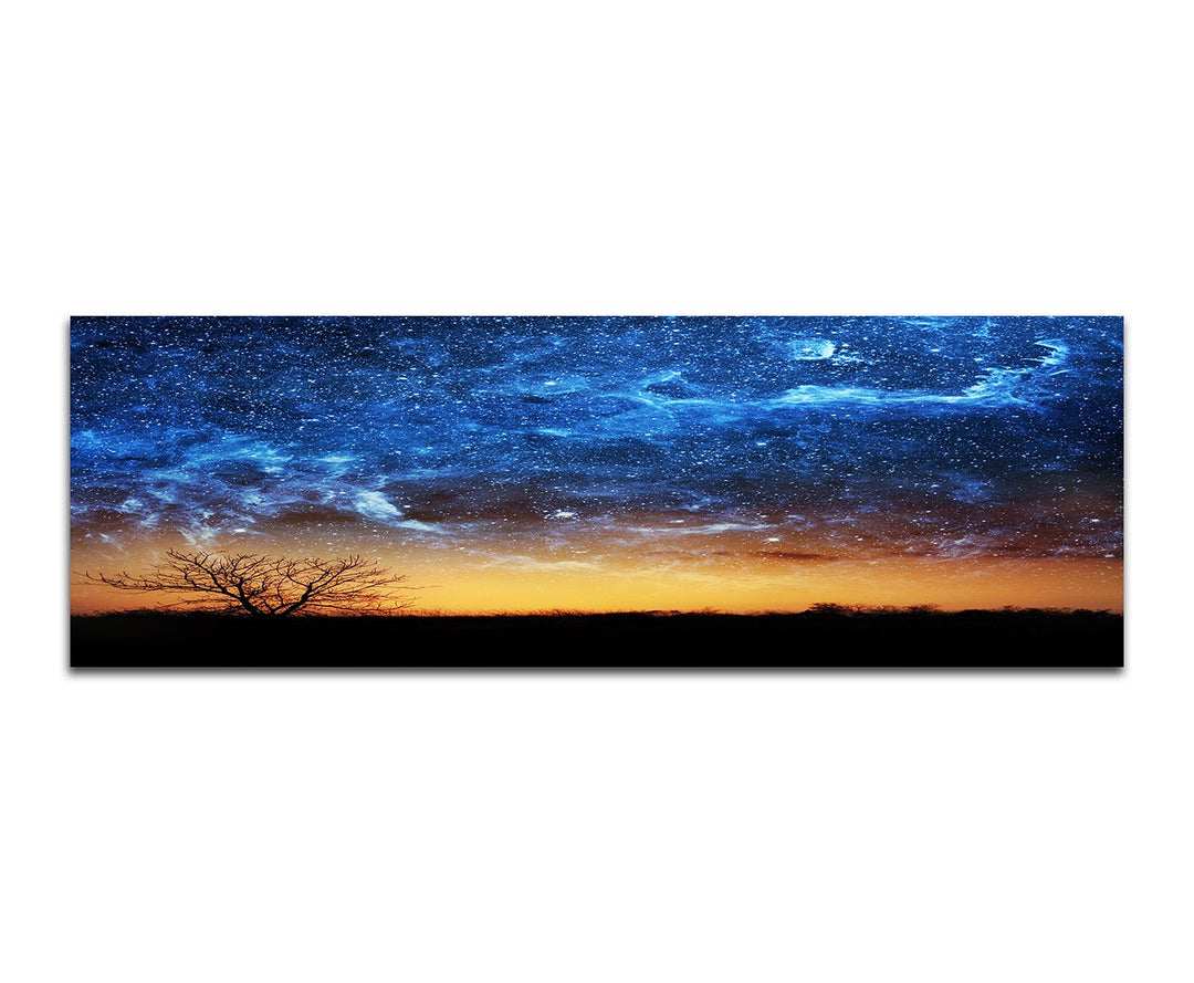 Paul Sinus Art Panoramabild auf Leinwand und Keilrahmen 150x50cm Wiese Baum Himmel Nacht Sterne