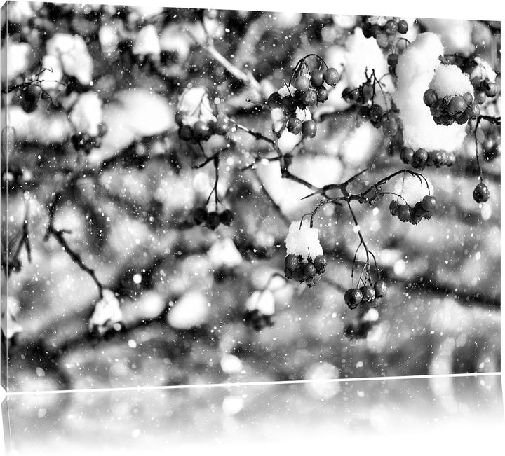 Pixxprint Vogelbeeren mit Schnee bedeckt als Leinwandbild/Grösse: 100x70 cm/Wandbild/Kunstdruck/fert