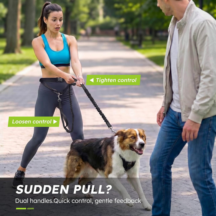 Pecute Joggingleine Hunde mit Bauchgurt, Laufgürtel Hundleine für Grosse und Mittelgrosse Hunde, Lei