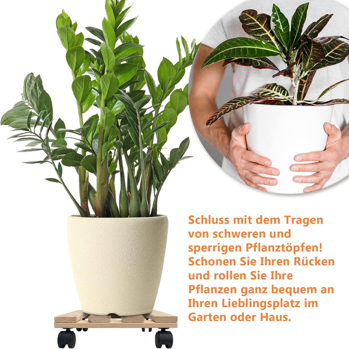 Unbekannt Fünf Pflanzenroller Holz MASSIV aus stabilem Buchenholz eckig 30 cm x 30 cm bis 120 KG