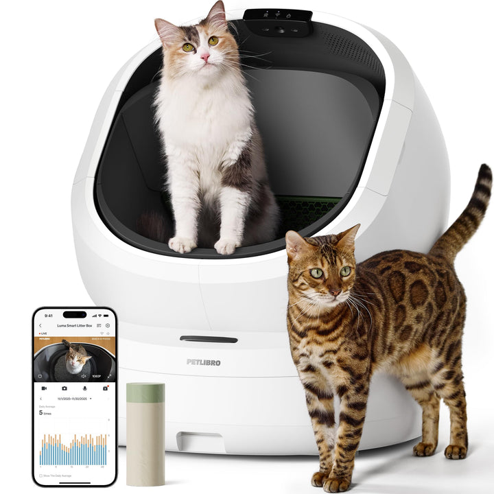 PETLIBRO Luma Katzenklo Selbstreinigend, elektrische Katzentoilette mit AI-Kamera zur Kotanalyse, Ge