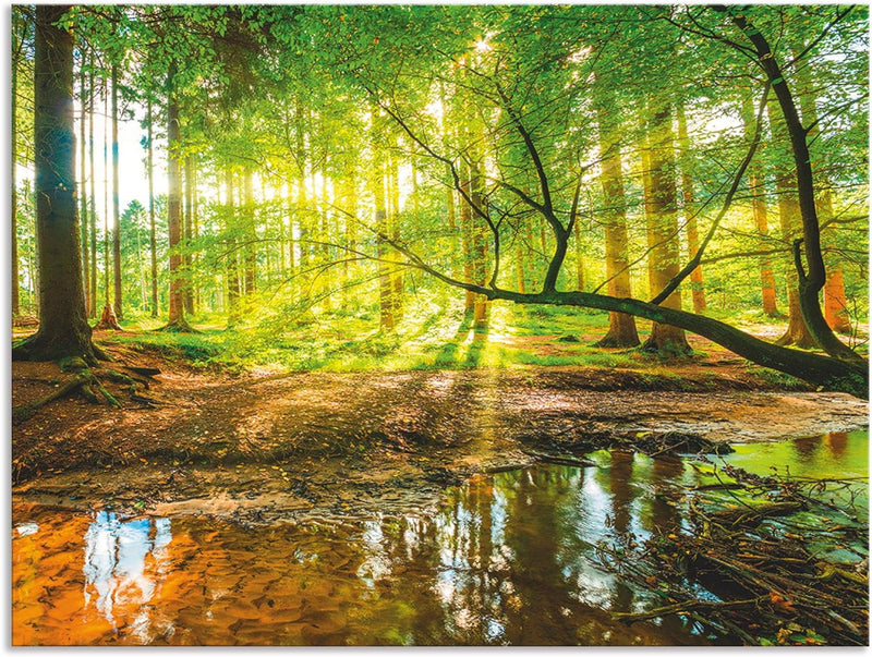 ARTland Spritzschutz Küche aus Alu für Herd Spüle 60x80 cm (BxH) Küchenrückwand mit Motiv Natur Land