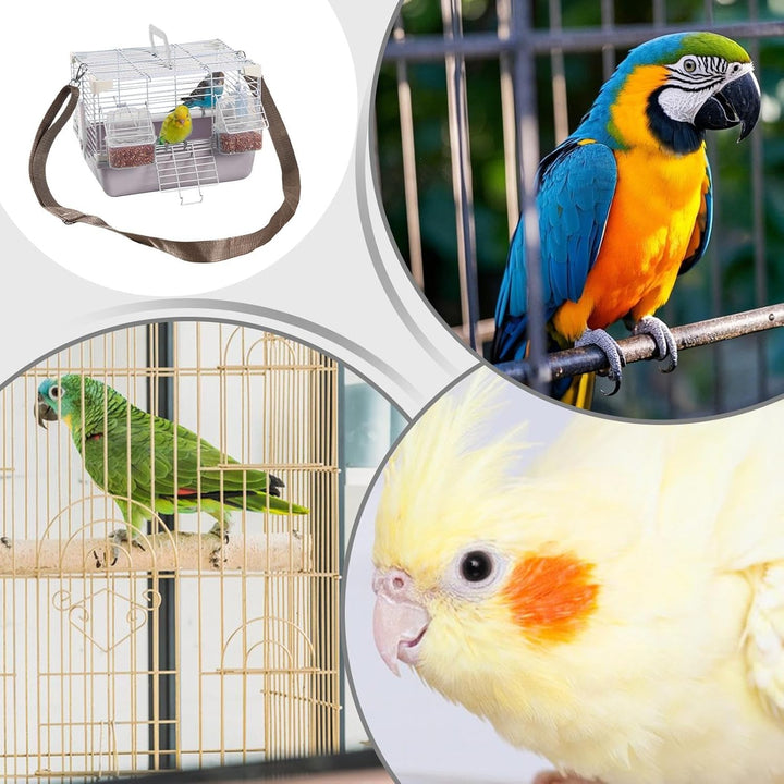Vogel Reisekäfig | Leichte Kleintiertransportbox Mit Abnehmbarem Tablett - Robustes Zubehör Für Klei