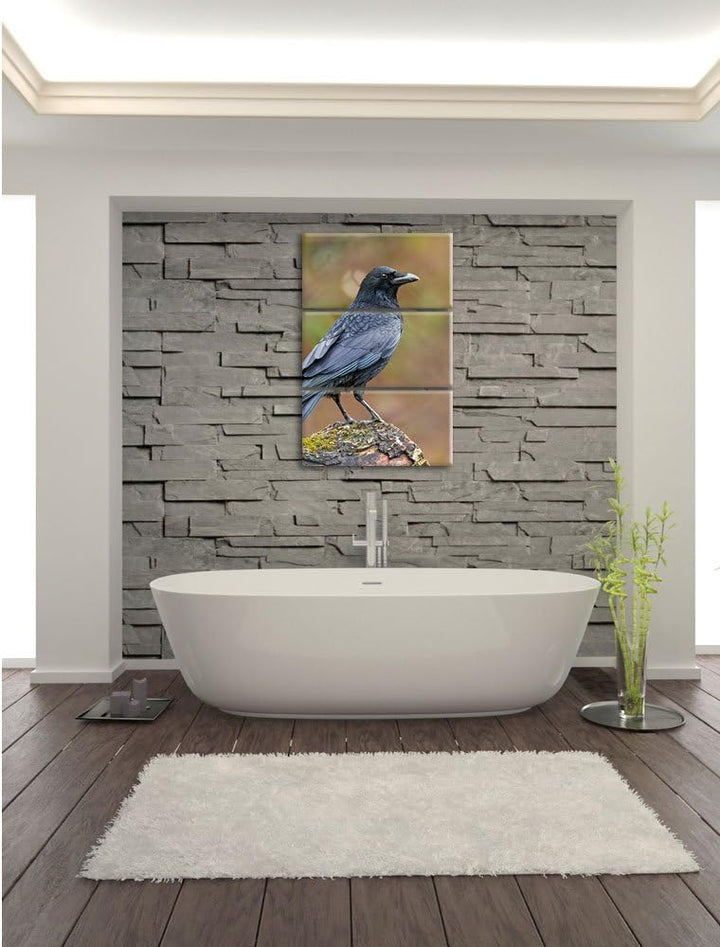 Pixxprint Krähe auf Baumstamm 3-Teiler Leinwandbild 120x80 Bild auf Leinwand