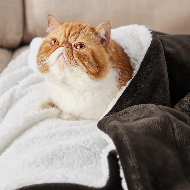 BEDSURE Kuscheldecke - Warm Sherpa Wolldecke & Sofadecke, Flauschig Sofaüberwurf Decke, Dicke Couchd