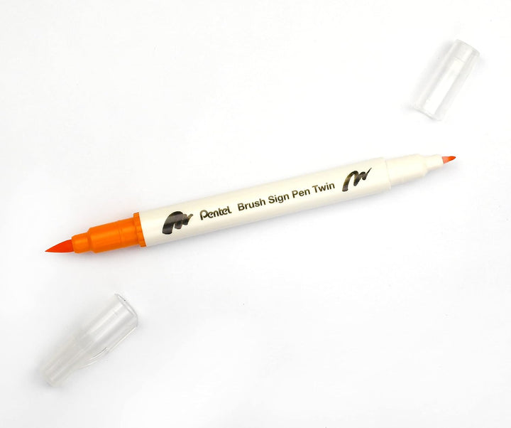 Pentel SESW30C-18 Brush Sign Pen Twin, 18-Farben-Set, Fasermaler mit zwei flexiblen Schreibspitzen,