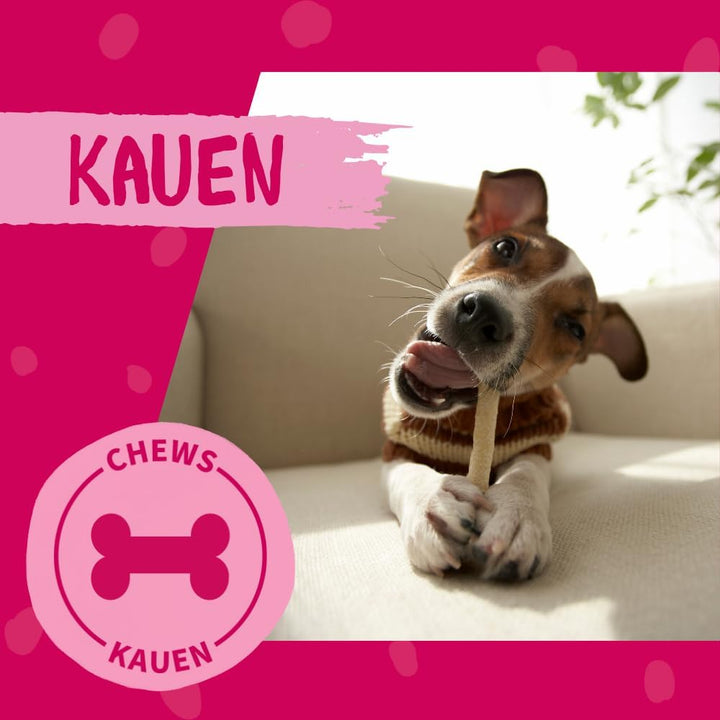 DOKAS Getreidefreier Premium Kausnack für Hunde – Ideal als Belohnung, 200 g (9er Pack) Single, Sing