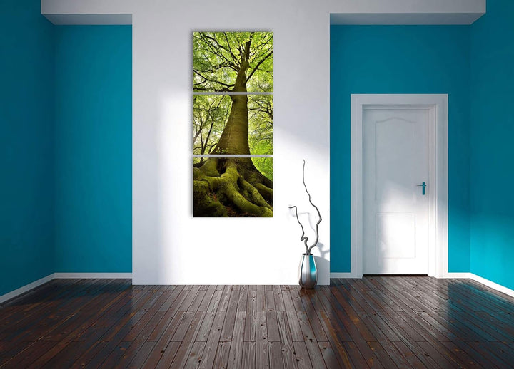 Pixxprint Riesiger Baum im Dschungel als XXL Leinwandbild in Übergrösse 180x80cm Gesamtmass 3 teilig