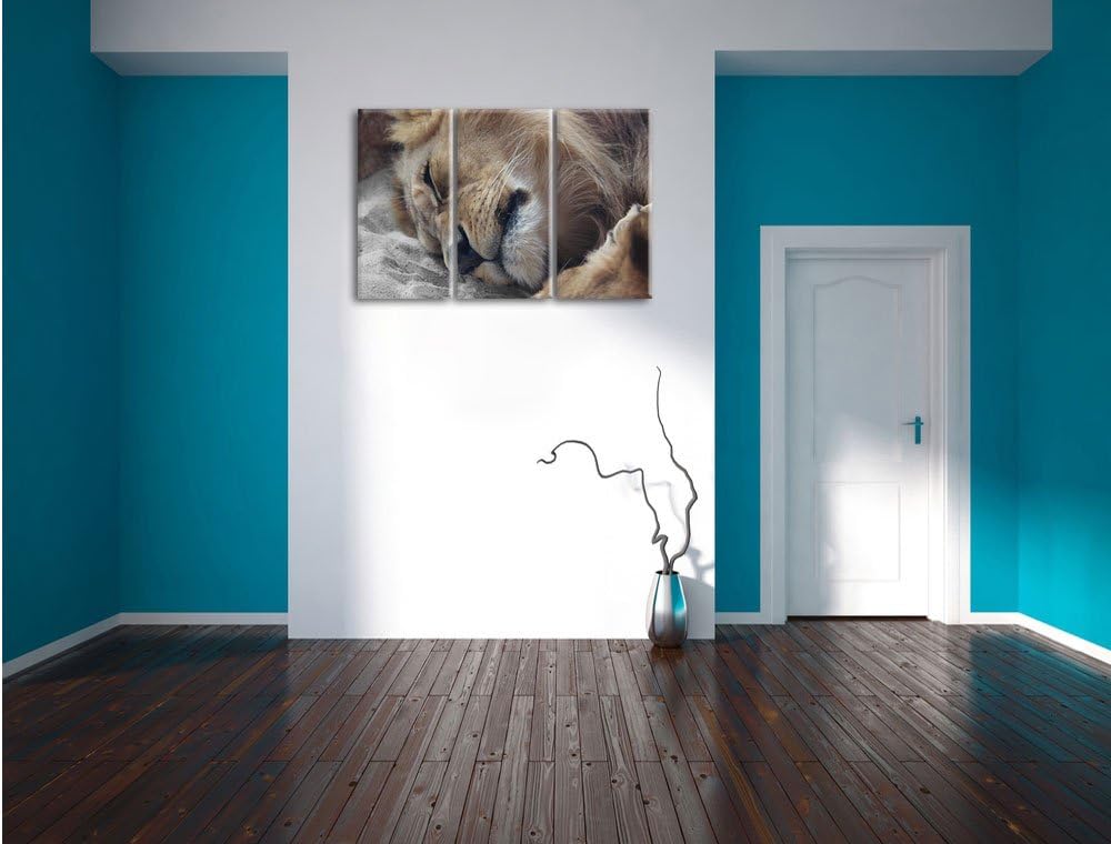 Pixxprint schlafender Löwe als Leinwandbild | Grösse: 3 Teilig (120x80) | Wandbild| Kunstdruck | fer