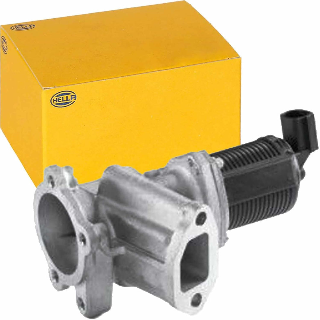 HELLA 6NU 010 171-451 AGR-Ventil - elektronisch - 2-polig - mit Dichtungen