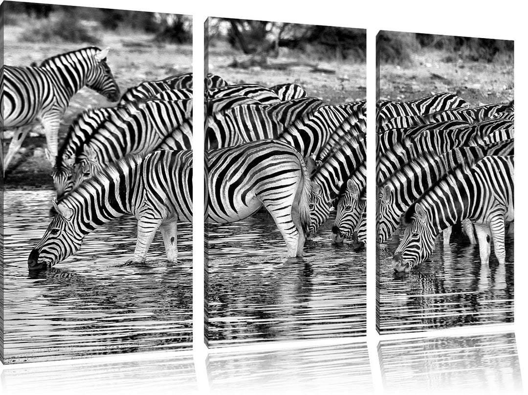Pixxprint Zebras Safari Afrika/Format: 3-Teiler (120x80cm) cm/Leinwandbild fertig bespannt Wandbild