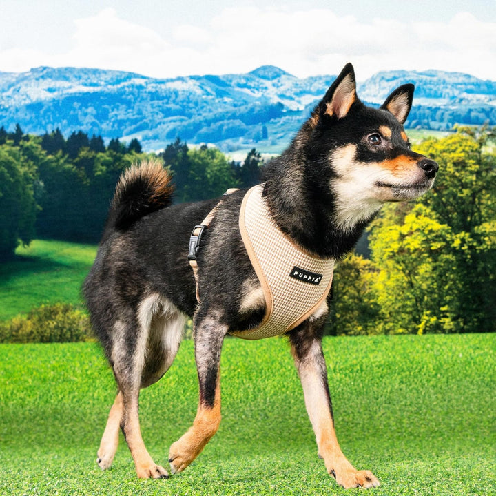 Puppia Amatus Hundegeschirr A (über den Kopf), modisches Hahnentrittmuster, Frühling Sommer Geschirr