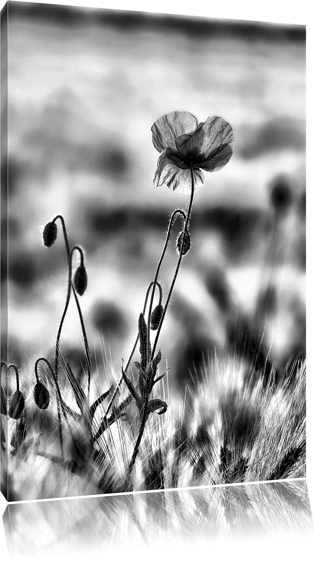 Pixxprint Monocrome, rote Blumen im Feld Tulpen Gemälde, Format: 100x70 auf Leinwand, XXL riesige Bi