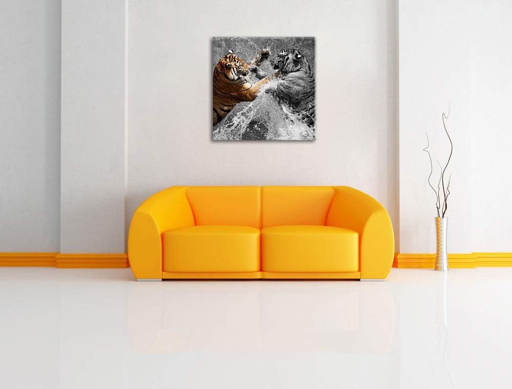 Pixxprint prachtvolle Tiger kämpfen schwarz/weiss, Format: 70x70 auf Leinwand, 70x70