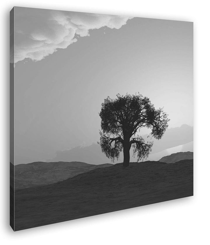 einsamer Baum in der Weite Format: 60x60 Effekt: Schwarz&Weiss als Leinwandbild, Motiv fertig gerahm