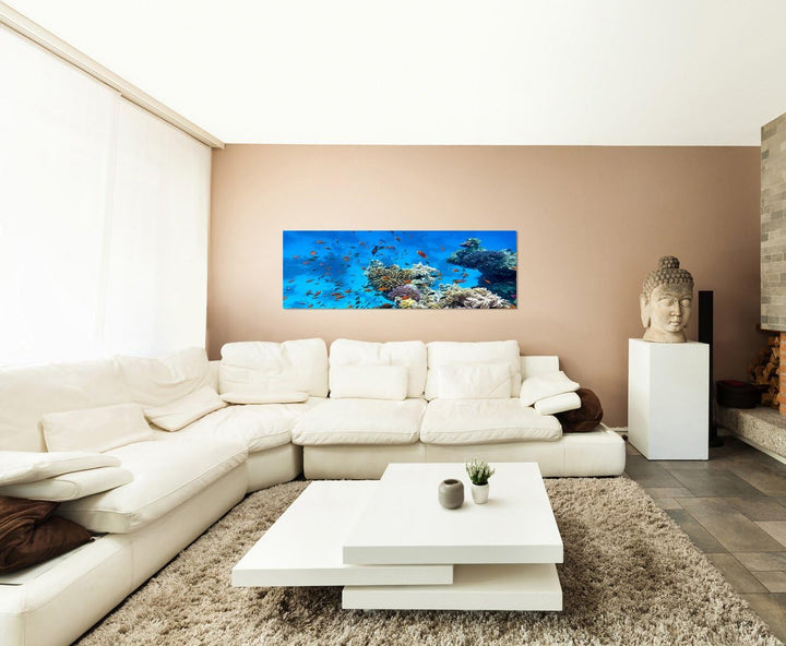 Paul Sinus Art Panoramabild auf Leinwand und Keilrahmen 120x40cm Meer Riff Korallen Fische