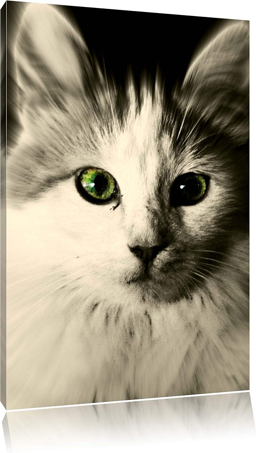 Pixxprint anmutige Katze auf Leinwand, XXL riesige Bilder fertig gerahmt mit Keilrahmen, Kunstdruck