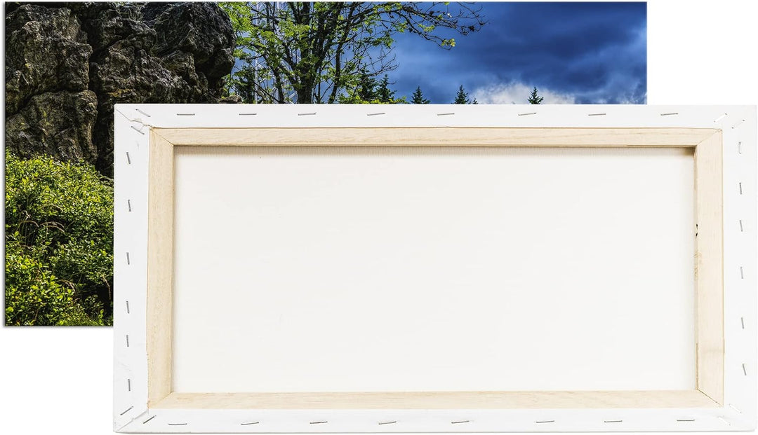einsame Bank am Waldrand Panorama 120x60 cm als Leinwandbild, Motiv fertig gerahmt auf Echtholzrahme