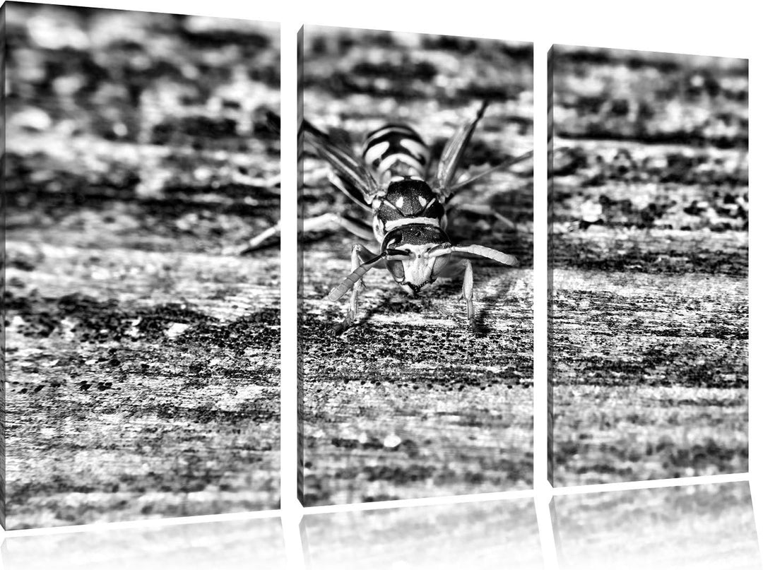 Pixxprint kleine Biene auf Holz als Leinwandbild/Grösse: 3 Teilig (120x80) cm/Wandbild/Kunstdruck/fe
