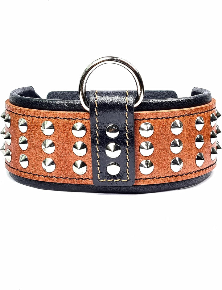 Bestia Star Hundehalsband mit Nieten und Innenpolsterung 6,5 cm Breit XL- 57.5 bis 65 cm Halsumfang