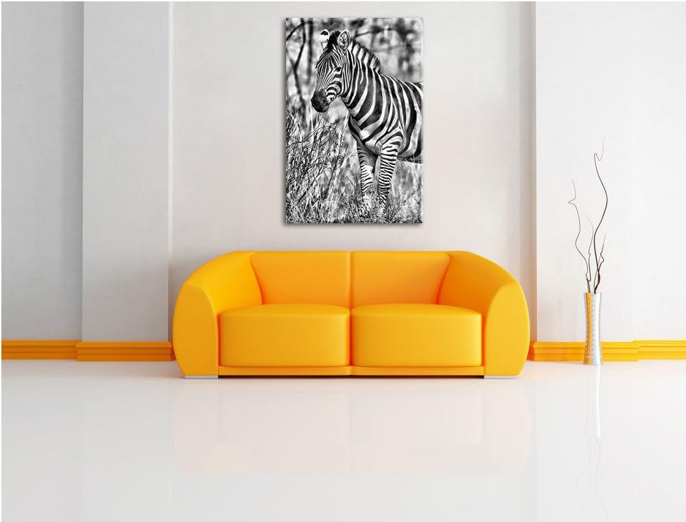 Monocrome, einsames Zebra, Format: 100x70 auf Leinwand, XXL riesige Bilder fertig gerahmt mit Keilra
