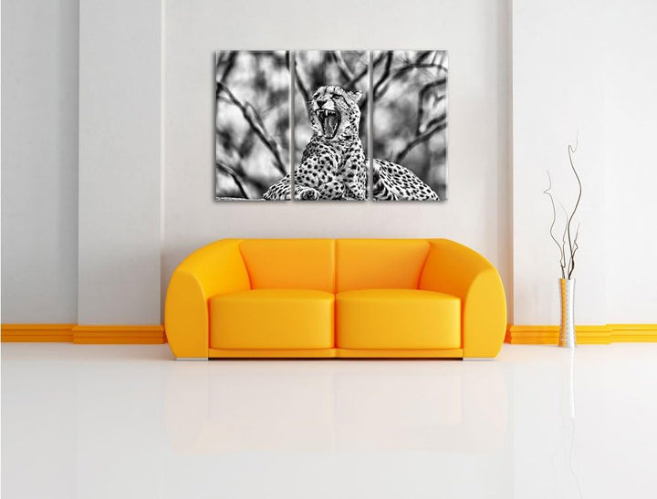 Pixxprint Gepard gähnt als Leinwandbild/Grösse: 3 Teilig (120x80) cm/Wandbild/Kunstdruck/fertig besp