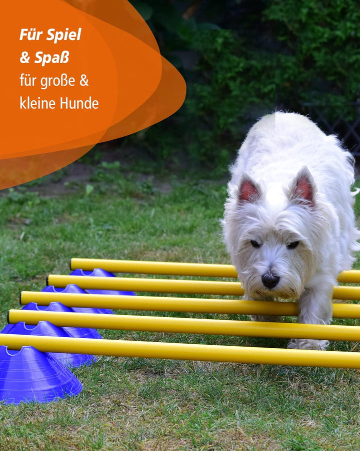 Cavaletti Mini-Hürden 5er Set – Mulden Gelb & Stangen Orange – sichere Trainingshürden für Hunde – A