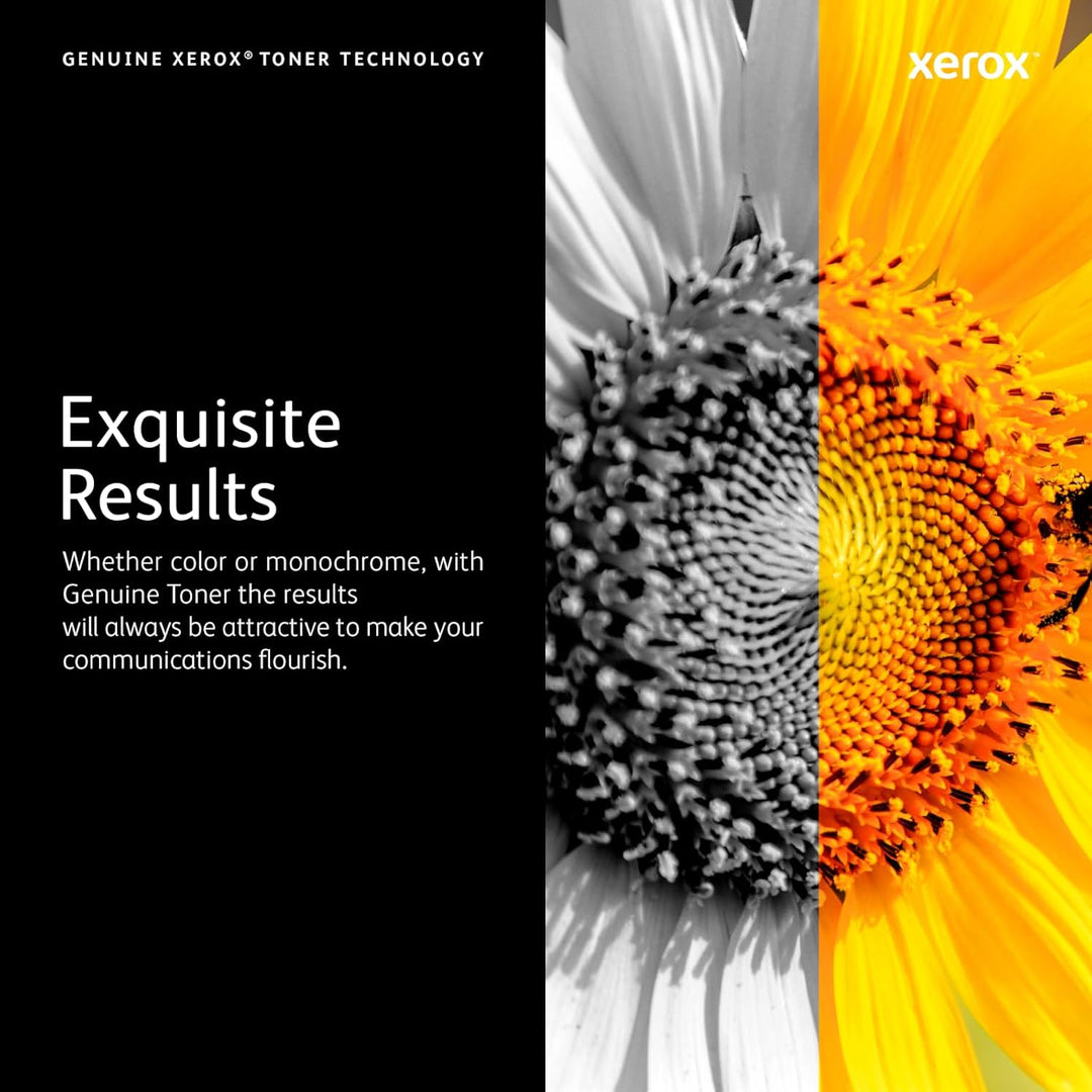 Xerox 106R3760 Original Toner 1er Pack, Cyan