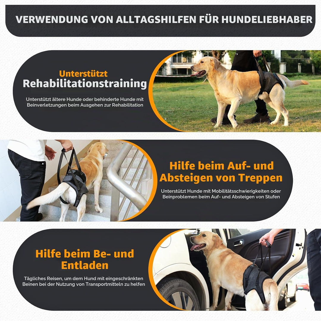 Verstellbares Hundegeschirr für Hinterbein–Stützgeschirr/Schlaufe mit Tragehilfe &amp;Griff für Behinder