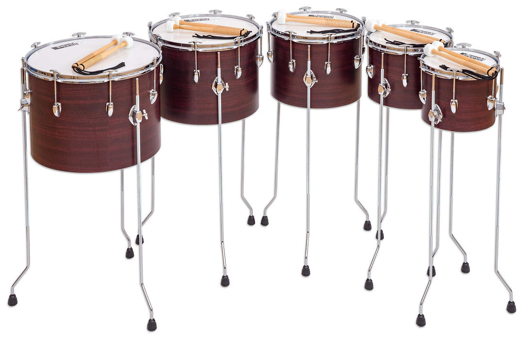 Betzold – Stimmbare Pauke – 18" Trommel für die Schule und den Unterricht, C-G 14'', 14''